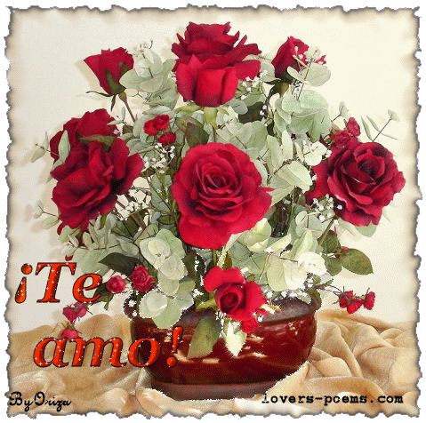 imagen-de-amor-con-frases-cortas-te-amo-con-movimiento-2