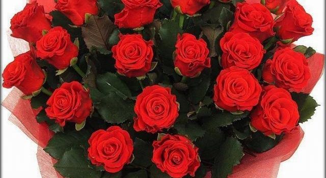 ramo-rosas-rosa-para-regalar 2