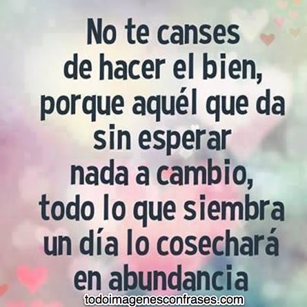 imagenes-bonitas-de-reflexion