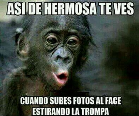 Imágenes de risa para descargar