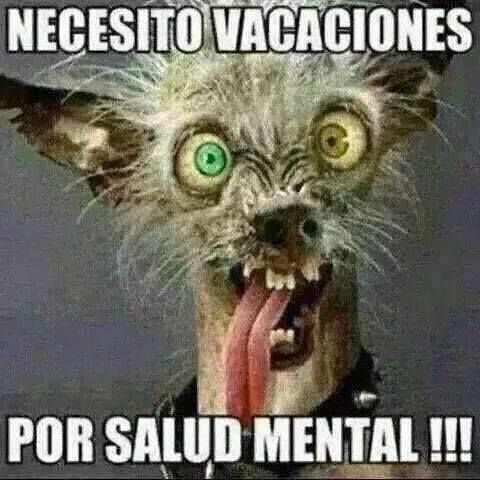 Imágenes de risa para descargar