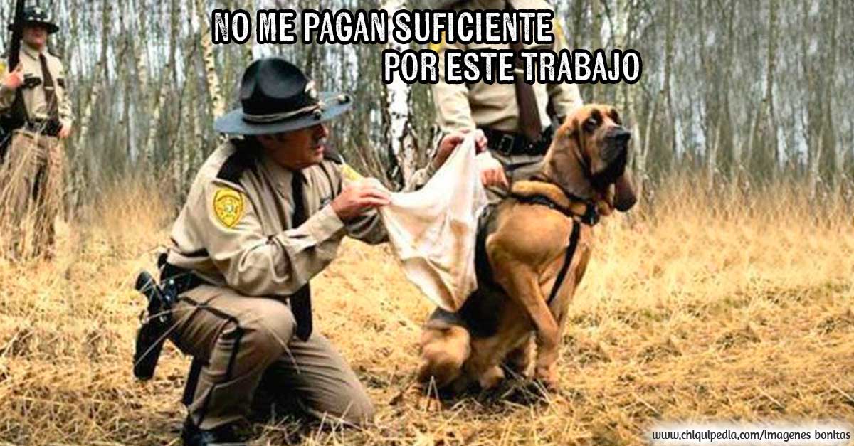 Imágenes de risa para descargar