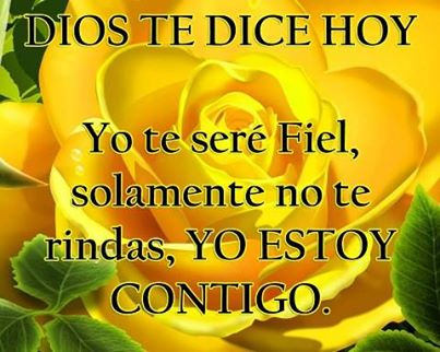 ▷ Imágenes de rosa amarillas con frases