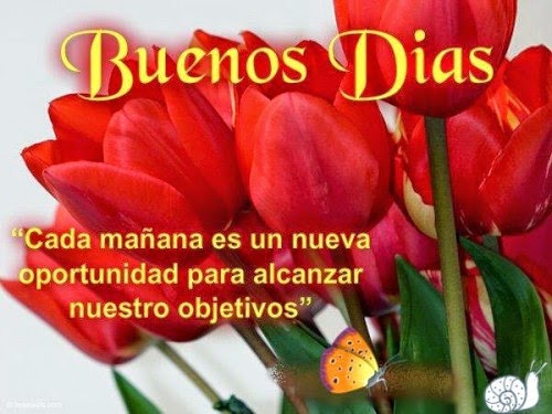 ▷ Imágenes de rosa que digan buenos días