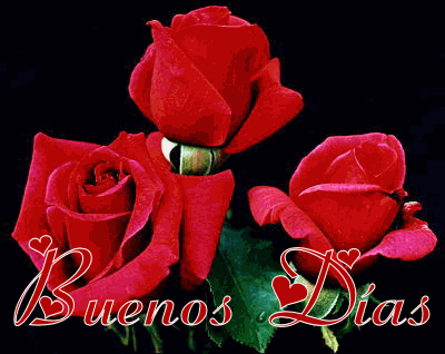 imagenes para desear o dar buenos dias (10)