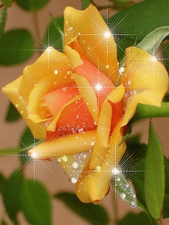 c38e35e3b05c51894579fc78be9cb5fb