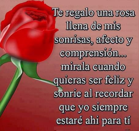 Imágenes-de-rosas-con-frases 3