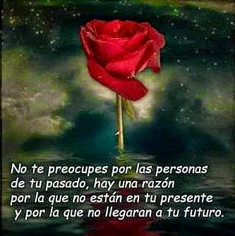 Imágenes-de-rosas-con-frases