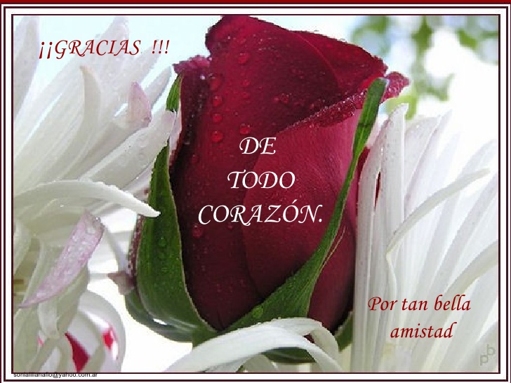 gracias-de-corazon-8-728