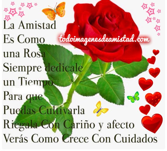 imágenes-de-amistad-la-amistad-es-como-una-rosa
