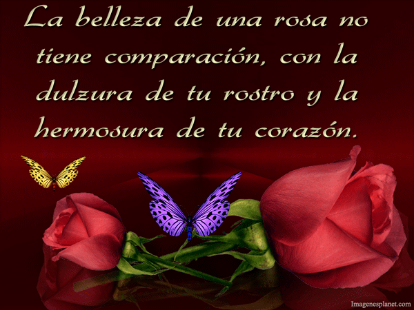 imagenes-de-rosas-y-mariposas