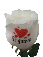 d94ab1f2-383e-479d-bb59-e26420cf8d29