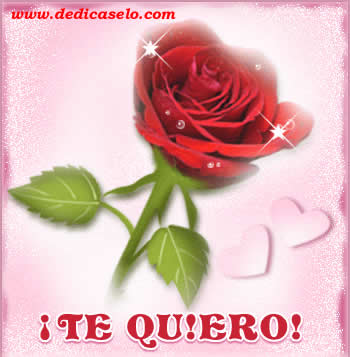 rosa-te-quiero