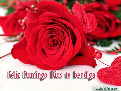 Feliz-domingo-rosas