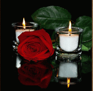 ▷ Imágenes de rosas en el agua con movimiento