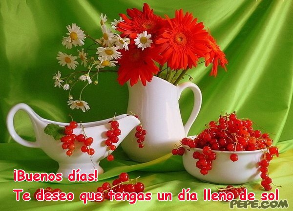 rosas para cumpleaños 2