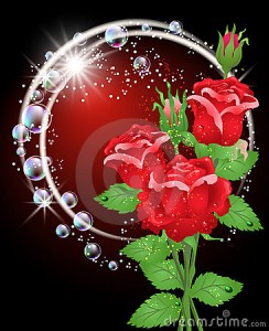 lindas rosas para cumpleaños