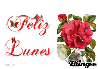 ▷ Imágenes de rosas para decir feliz lunes