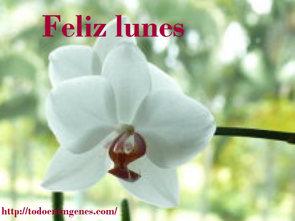 am_79225_5395822_984861