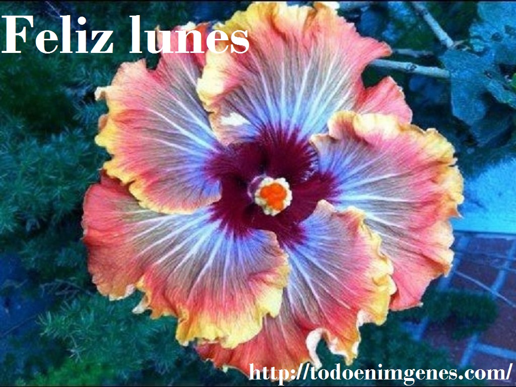 am_626723_6740666_223458