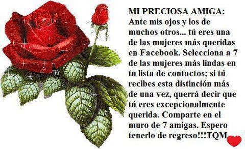 ▷ Imágenes de rosas para el día de la amistad