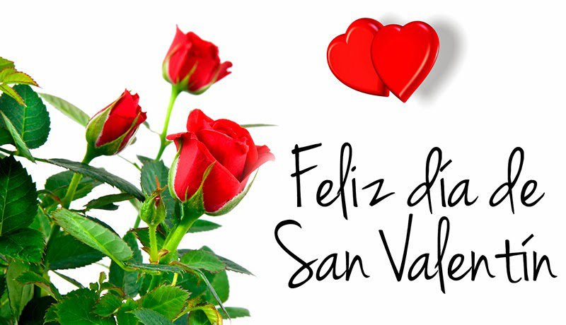 ▷ Imágenes de rosas para el día del amor