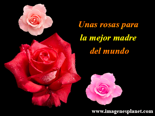 rosas-para-el-dia-de-la-madre