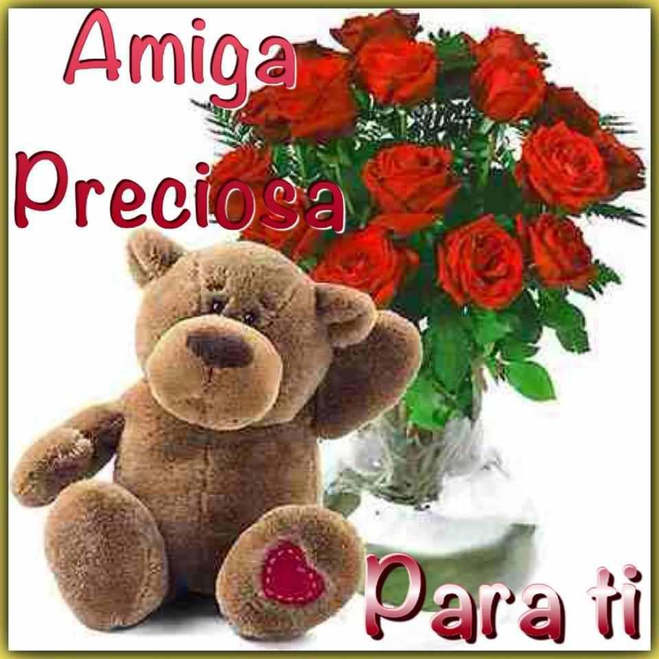 ▷ Imágenes de rosas para mi amiga