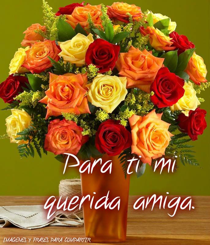 ▷ Imágenes de rosas para ti amiga