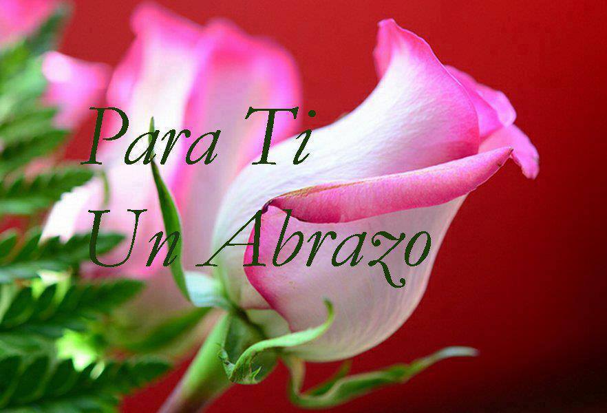 ▷ Imágenes de rosas para ti hermana
