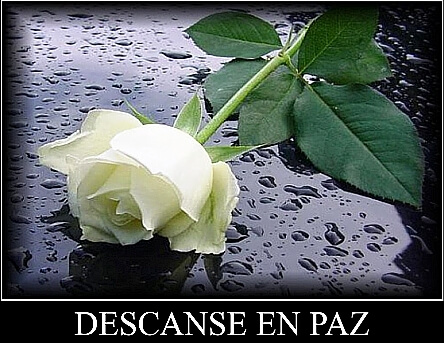 ▷ Imágenes de rosas que digan que descanses en paz