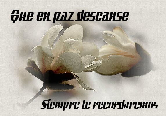 ▷ Imágenes de rosas que digan que descanses en paz