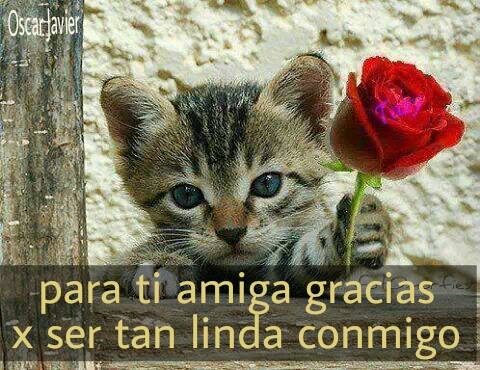 imagenes-de-san-valentin-para-amigas-5