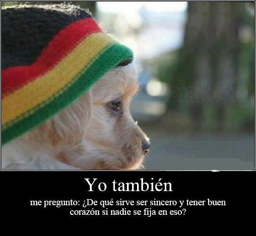 frases-de-la.sinceridad