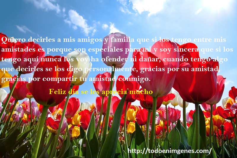 ▷ Imágenes de sinceridad para los amigos