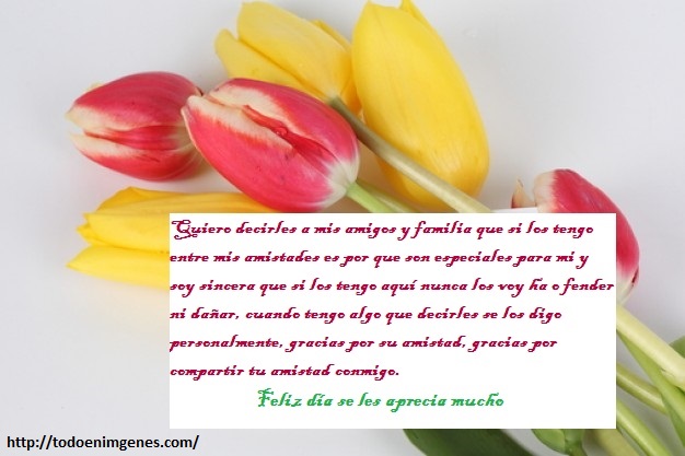 frases sinceras para amigos del facebook