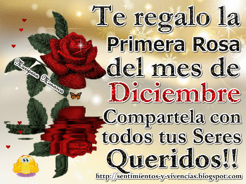 ▷ Imagenes de te regalo la primera rosa del mes de diciembre