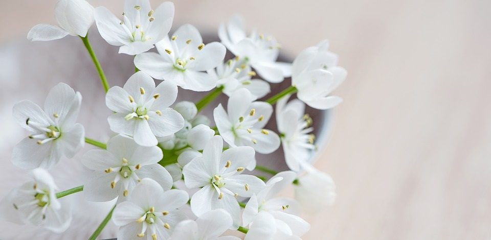 Imágenes de tipos de ramos de rosas para novia lindos