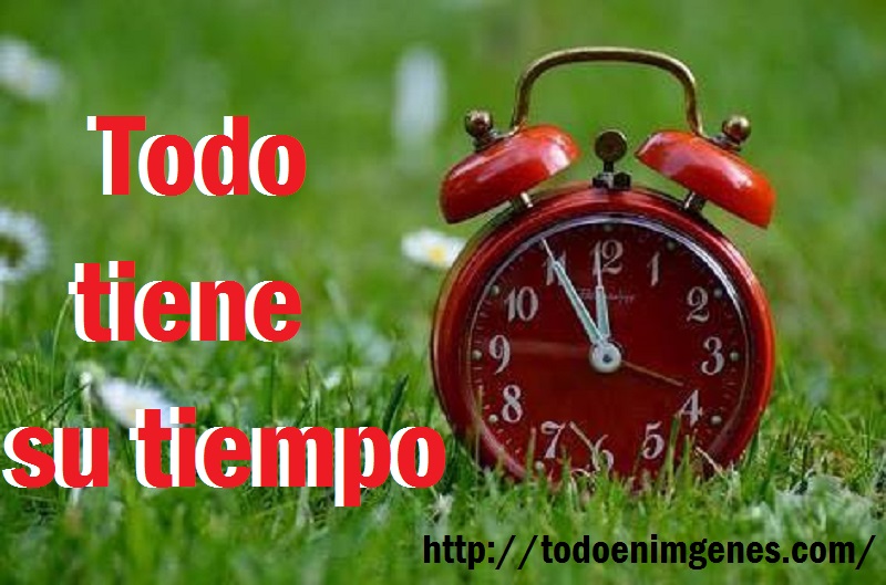 ▷ Imágenes de todo tiene su tiempo