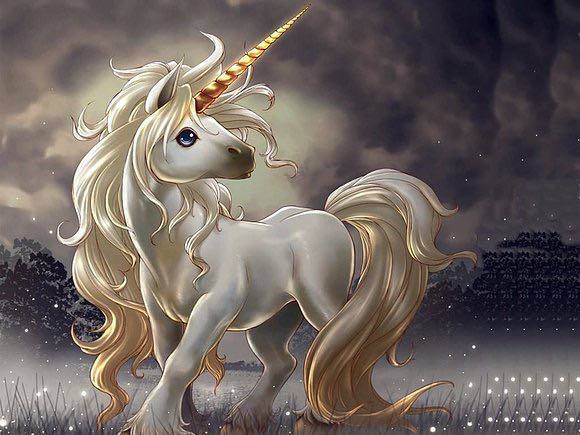 14287569_534133886797794_1174675947_n