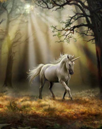 ▷ Imágenes de unicornios