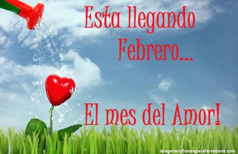 12467703_438366809707836_579230758_n