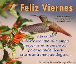 ▷ Imágenes del colibrí con los días de la semana