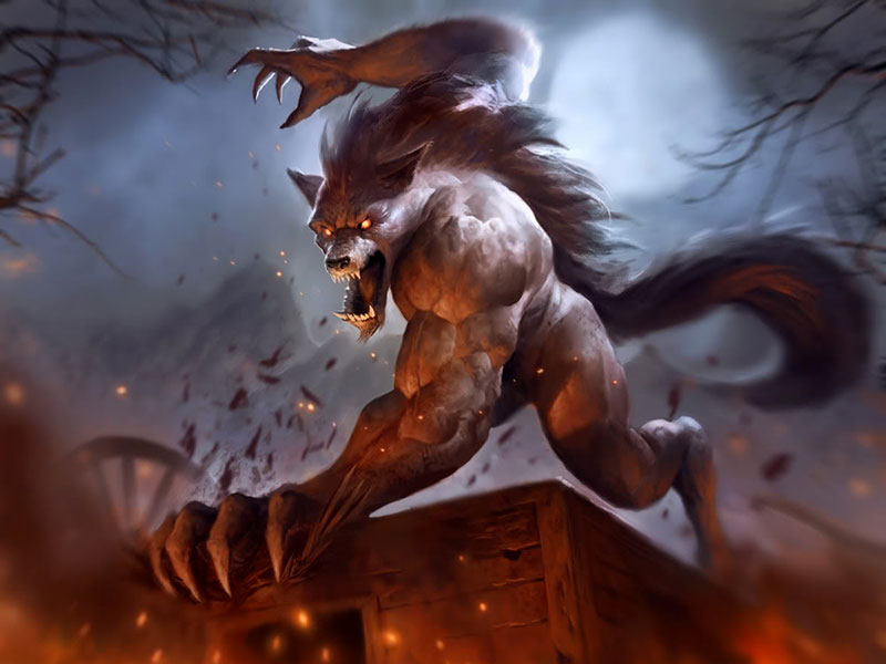 ▷ Imágenes del hombre lobo