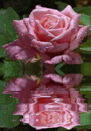 BUENAS TARDES ESENCIA