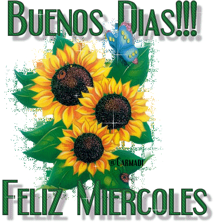 ▷ Imágenes hermosas de buenas días