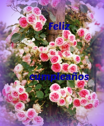 imagenes-de-flores-hermosas-para-cumpleanos-3