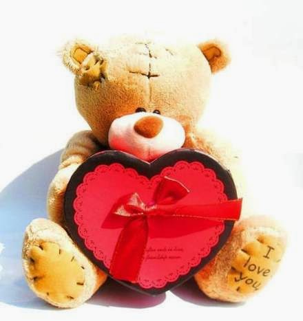 imágenes hermosas de osos