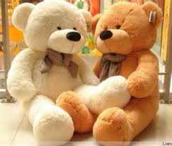 osos en imágenes hermosas