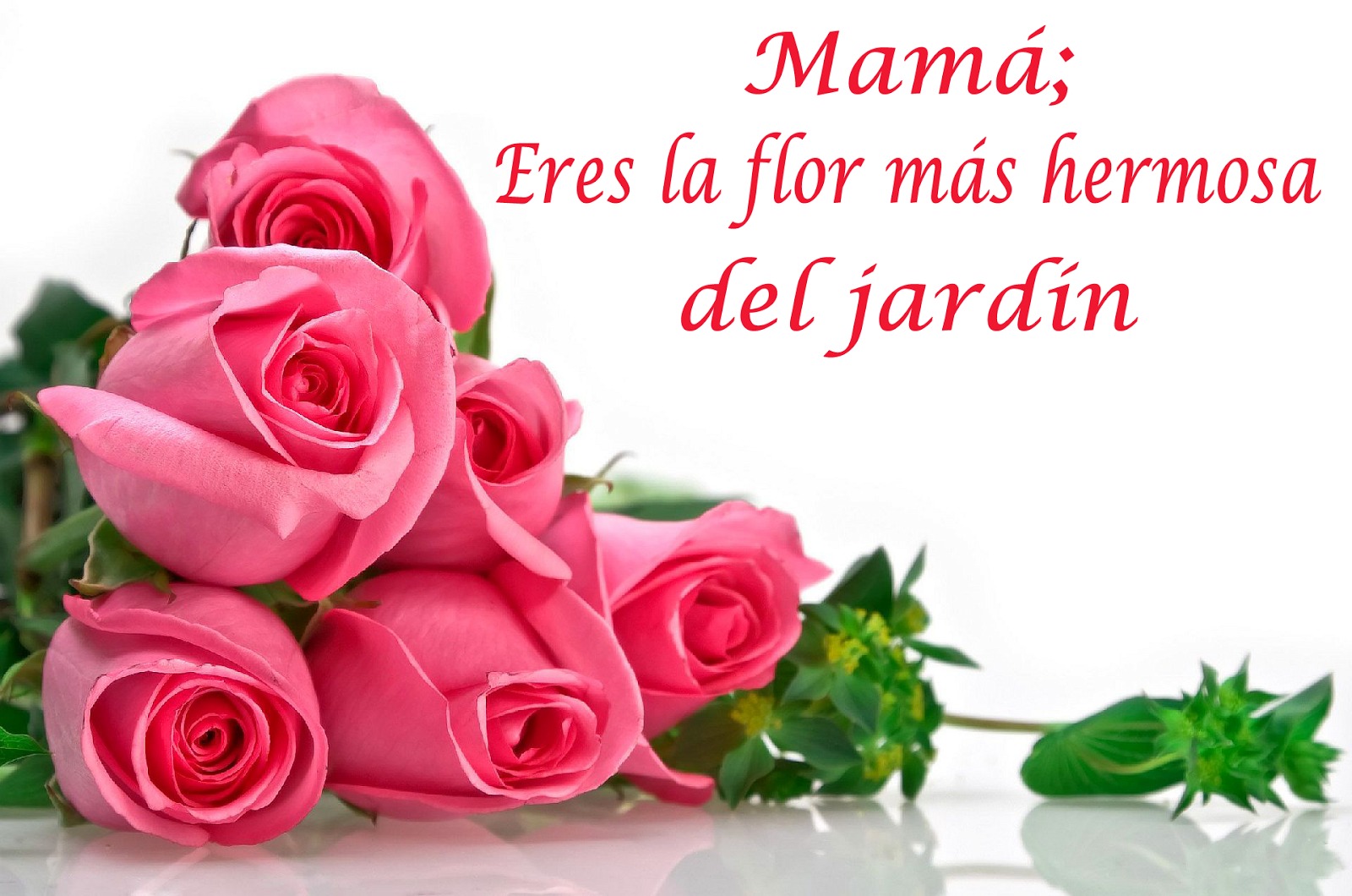 ▷ Imágenes hermosas para mamá